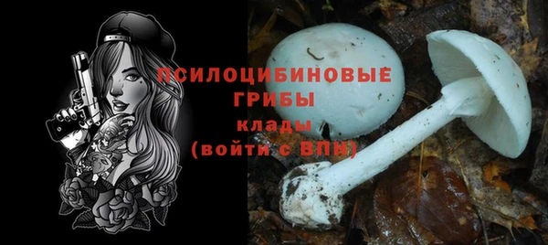 твердый Бугульма