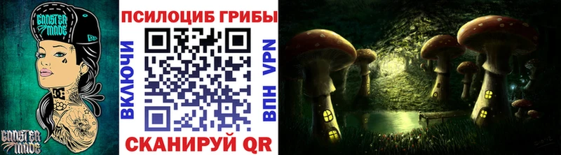 Псилоцибиновые грибы GOLDEN TEACHER  купить   Княгинино 
